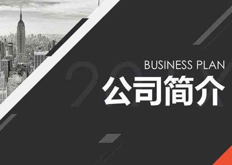 深圳市领图电测科技股份有限公司公司简介
